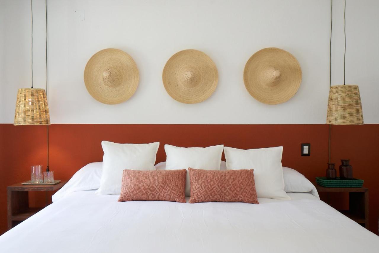 Amazinn Places Casa Coyoacan Meksika Dış mekan fotoğraf